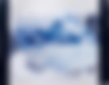 Untitled (Grey Goose) (preview)