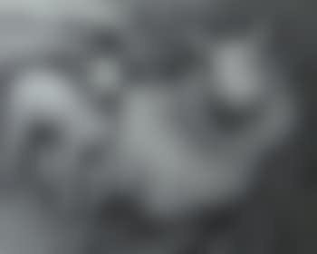 Study of a ewe and lamb sheltering (preview)