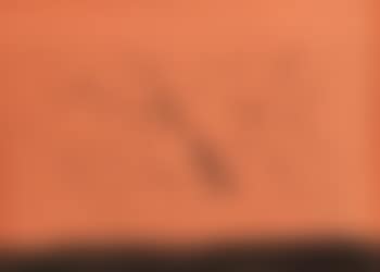 Composicione (preview)