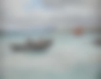 Curragh off the Coast, Connemara (preview)