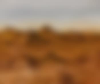 Landscape (preview)