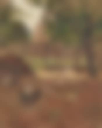 Farmyard (preview)