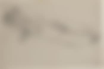 Sleeping female nude (preview)