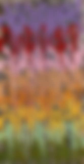 Studio drips (preview)