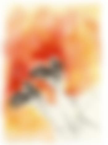 Ohne Titel (preview)