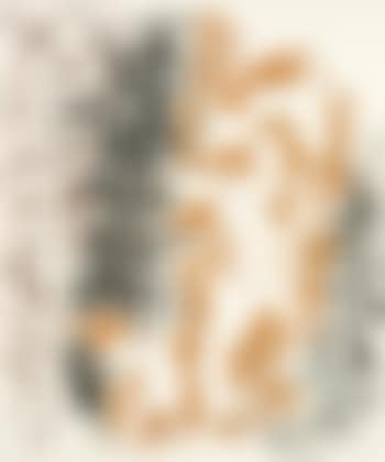 Ohne Titel (preview)
