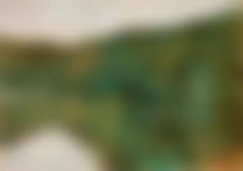 Bewaldetes Seeufer (Grunewaldsee?) (preview)