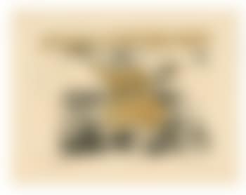 Tanz VII (preview)