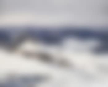 Winterliche Schwarzwaldlandschaft mit verschneiten Häusern (preview)