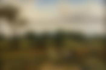 Summer in the fields (preview)
