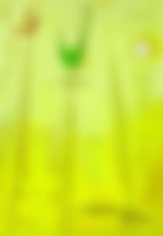 Fugl blomster sol (Bird flowers sun) (preview)