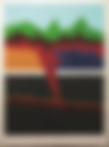 Immagine proveniente dalle Ande (preview)