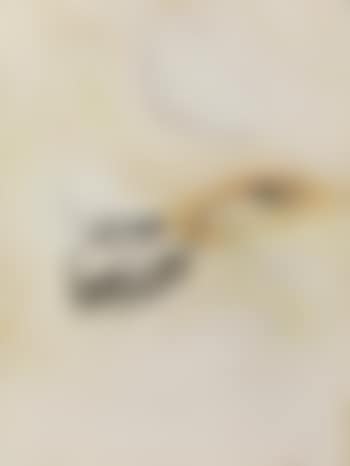 Brosses (preview)