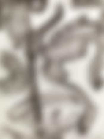 Bianco e nero (preview)