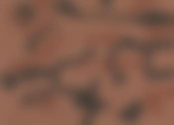Rosso nero (preview)