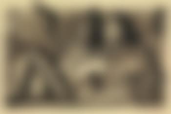 Composizione (preview)