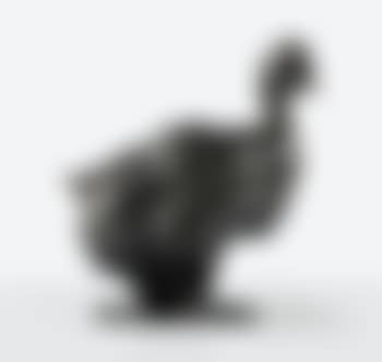 Une oie (preview)