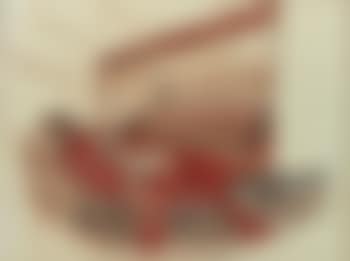 Auditorium (preview)