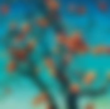 Persimmon (preview)