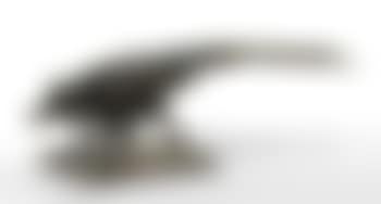 Insecte rosine (preview)