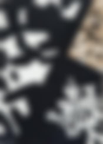 Bianconero (preview)
