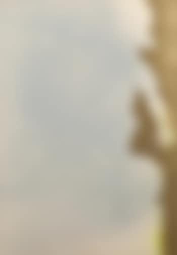 Senza titolo (preview)