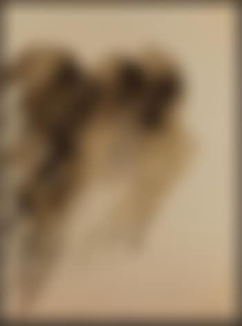 Ohne Titel (preview)