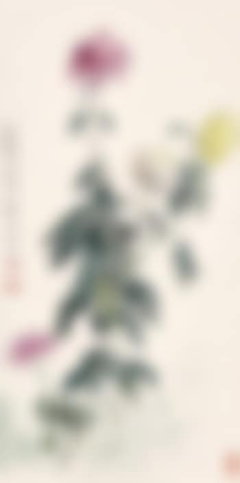 Chrysanthemum in Sichuan (preview)