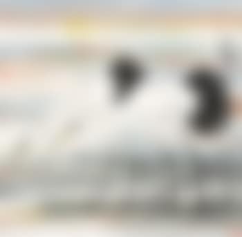 Two Egrets (preview)