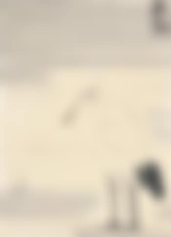 Egret (preview)