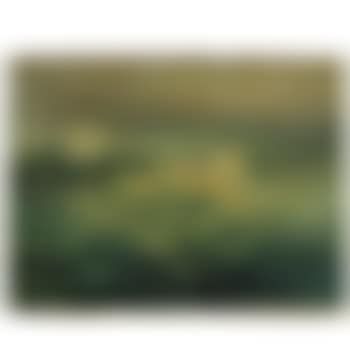 Whitecaps (preview)