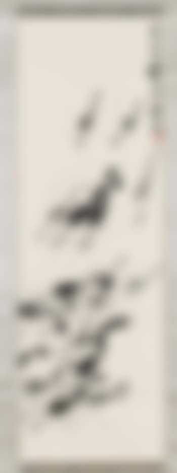 Shrimp (preview)