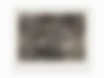 Linking Graphics (preview)