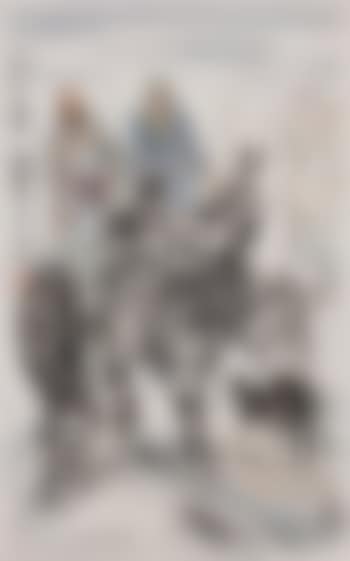 Donkeys (preview)