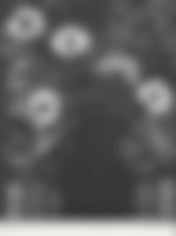 [Untitled] (preview)