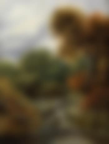 Stream going over rocks (preview)