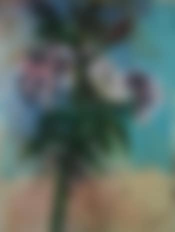 The sky and lillies (From flowers in Manhattan) (preview)