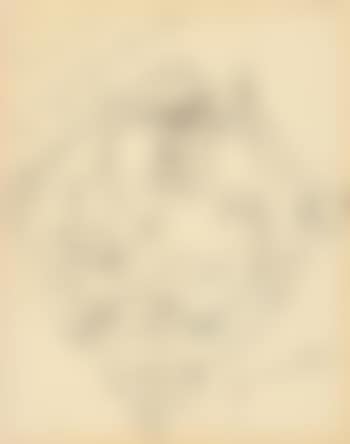 Recto/verso: Untitled (preview)