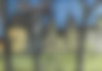Untitled (Landscape) (preview)