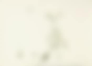 Untitled, from 'Spur I' (preview)