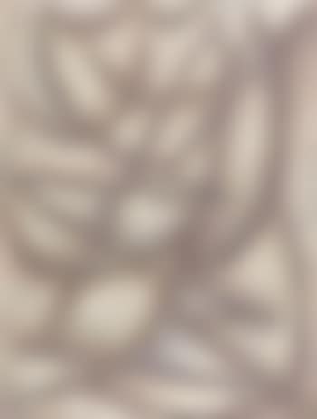 Rapsodie (preview)