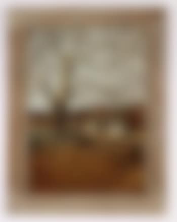 Sycamore (preview)