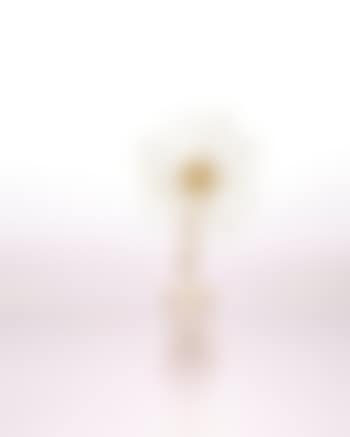 Dali Fleur (Dali Flower) (preview)