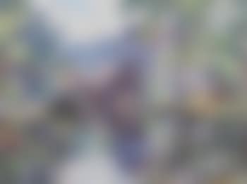 Mill in Summer (preview)