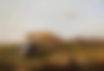 Cattle in a Meadow (preview)
