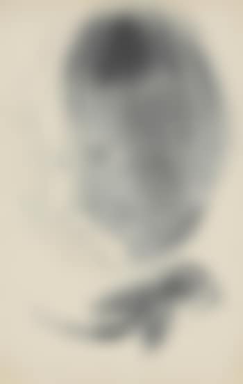 Evocation (preview)