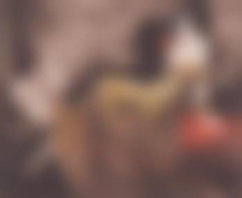 Gay Senorita (preview)