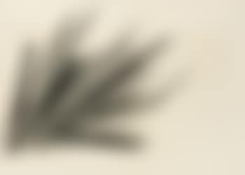 Composition P (preview)