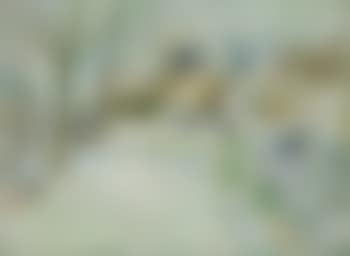 Paysage de neige (preview)