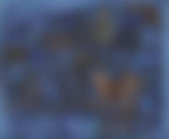 Composition (preview)